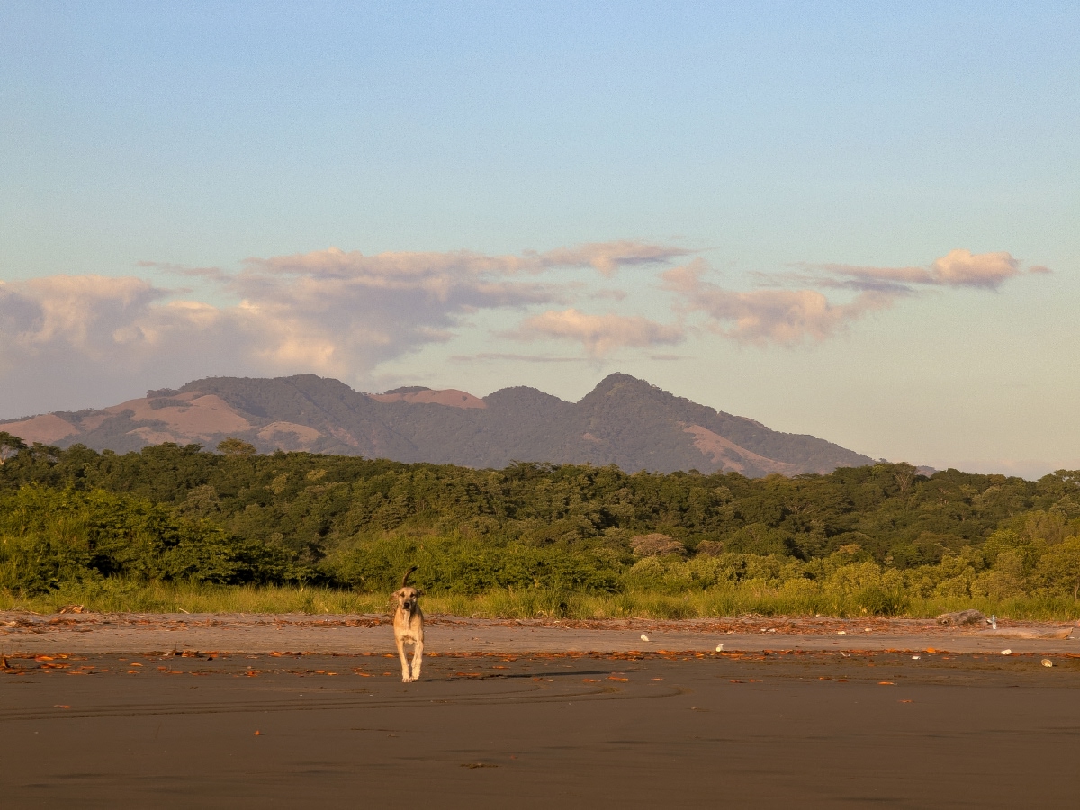 Landscape at Beach